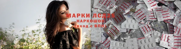 сатива Верея