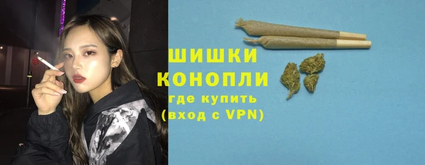 сатива Верея