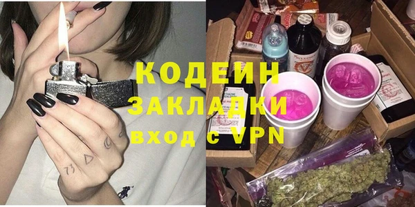 сатива Верея
