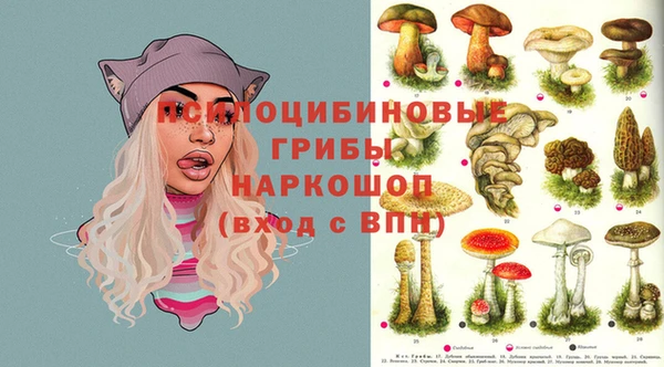 тгк Тобольск