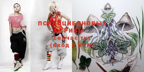 сатива Верея
