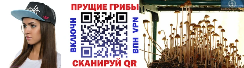 Псилоцибиновые грибы MAGIC MUSHROOMS  Кинель 